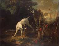 Oudry Jean-Baptiste Dog Pointing a Partridge  - Hermitage